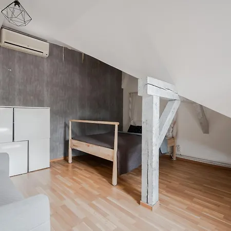 Privat bolig Old Town And Parking Assistance Prag